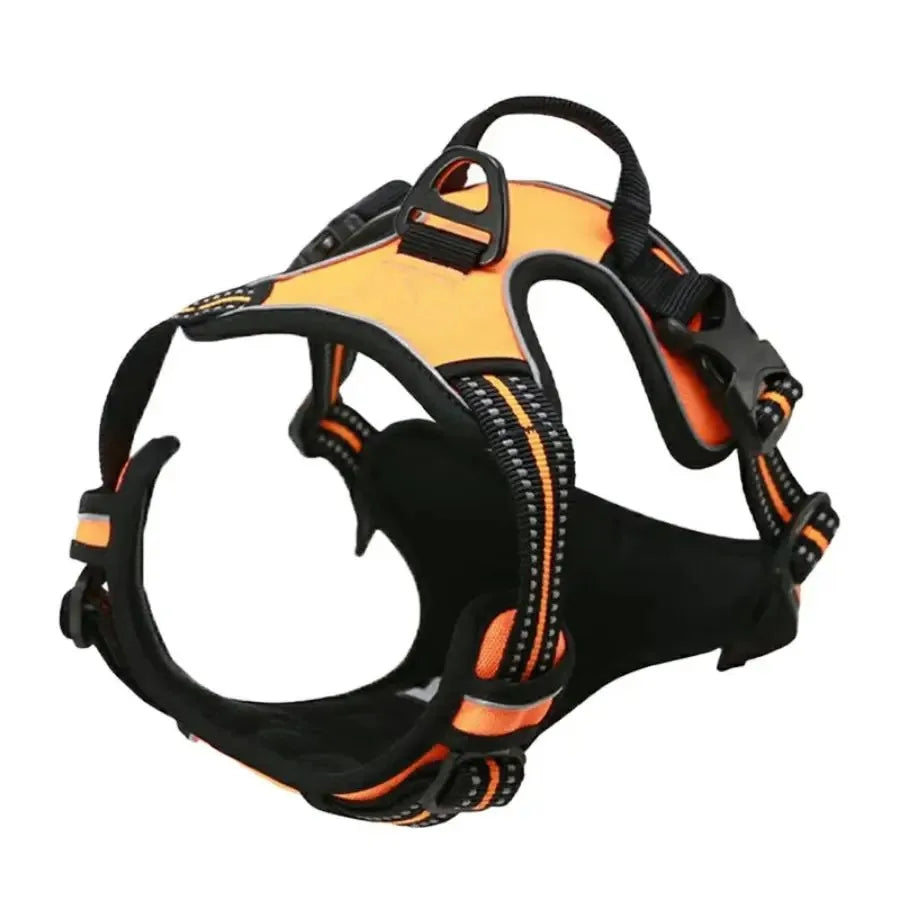 The SecureStride No-Pull Harness