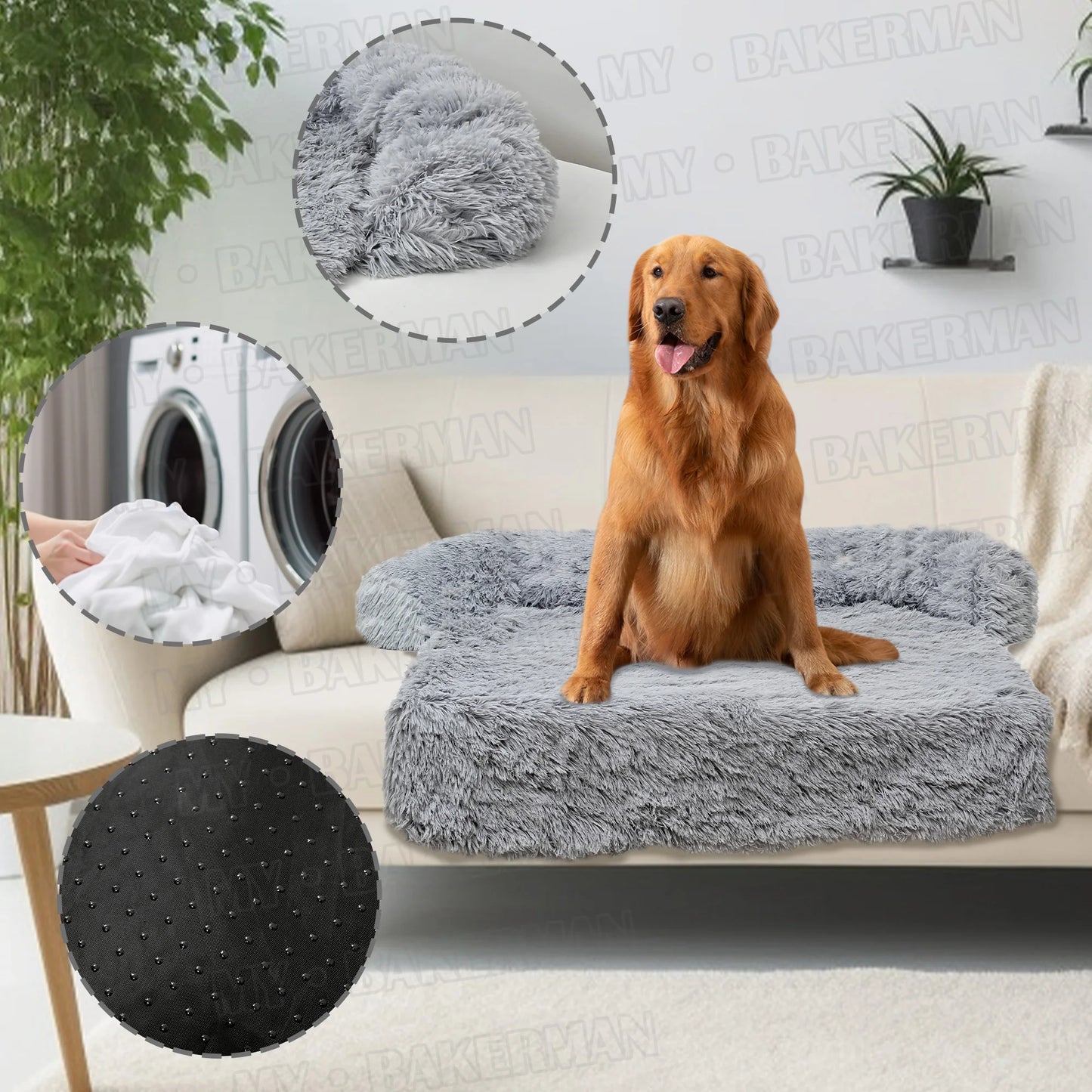 Your Dog's Sofa Haven