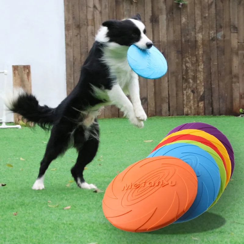 The FlexFlight Soft Frisbee