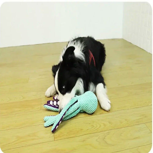Squeaky Octopus Plush Toy