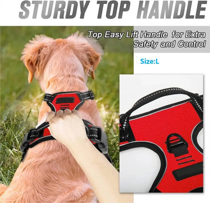 The SecureStride No-Pull Harness