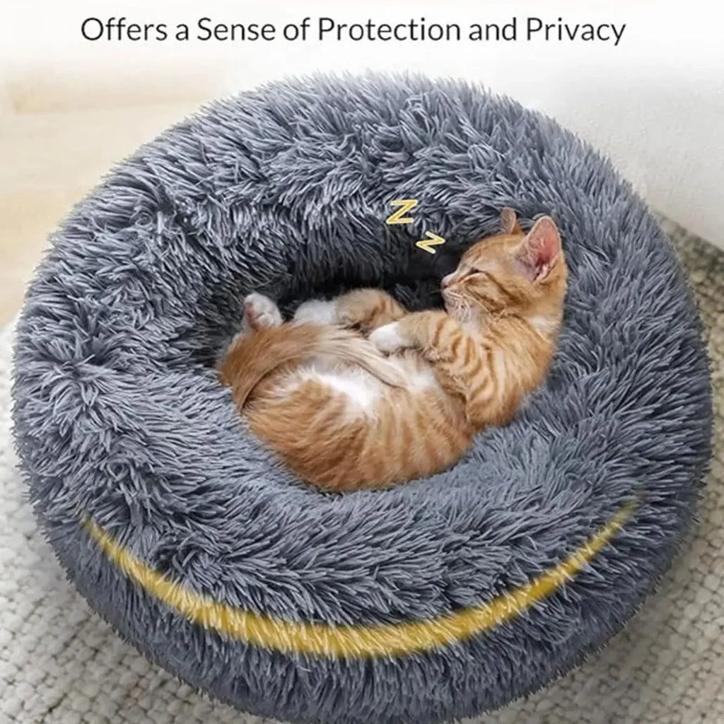 The Ultimate Cloud Sanctuary
