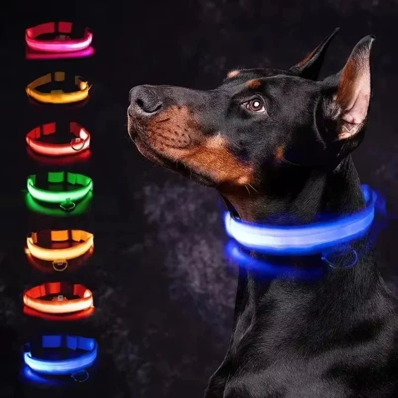 The NightOwl LED Safety Collar