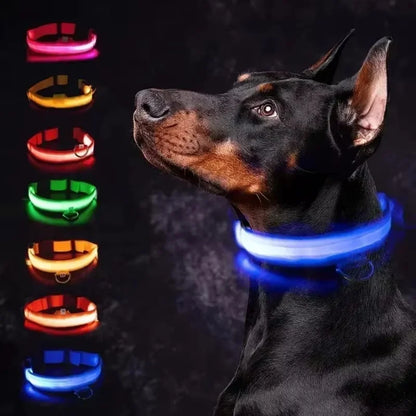The NightOwl LED Safety Collar