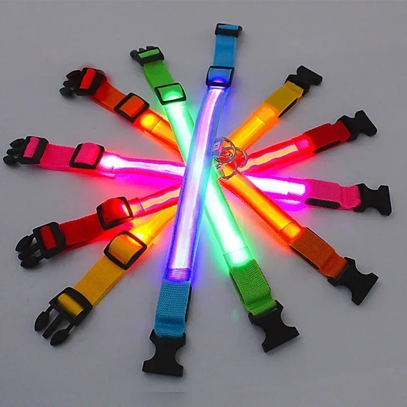 The NightOwl LED Safety Collar